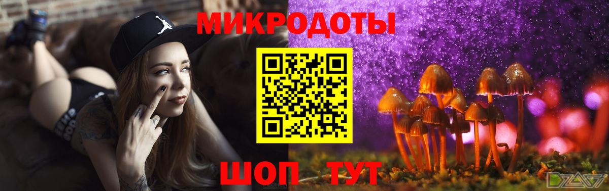 Галлюциногенные грибы Magic Shrooms Новороссийск